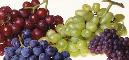 White Grapes are Higher in Vitamin C than Orange Juice